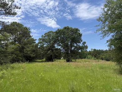 14.51 Acres with Pond, Pole Barn & Beautiful Homesite Potential - photo 33