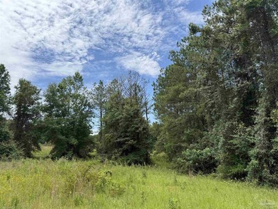 14.51 Acres with Pond, Pole Barn & Beautiful Homesite Potential - photo 34