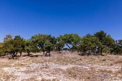 *Windy Hill Estate* is a unique, end-of-the-road gated 19 acres - photo 11