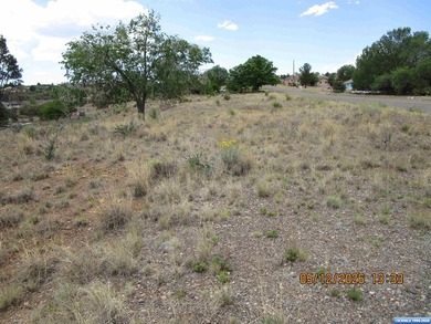 Three adjacent lots on Spear Drive for a site-built home - photo 3