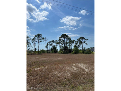 Lake Lot For Sale in Cape Coral, Florida