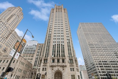 Lake Michigan - Cook County Condo Active Under Contract in Chicago Illinois