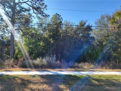 Prime Location! This commercial vacant land offers 2.08 acres of - photo 1