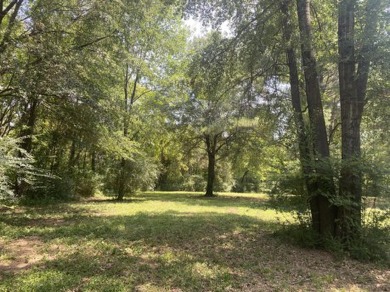 Lake Acreage For Sale in Russellville, Arkansas