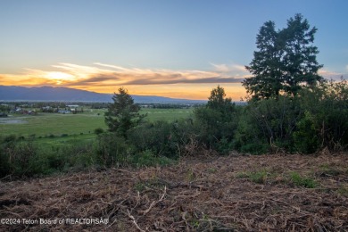 (private lake, pond, creek) Lot For Sale in Victor Idaho