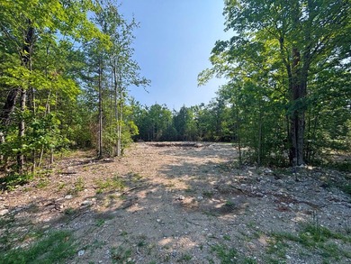 Private wooded lot in the Presque Isle Harbor association with - photo 2