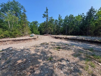 Private wooded lot in the Presque Isle Harbor association with - photo 4