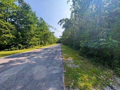 Private wooded lot in the Presque Isle Harbor association with - photo 7