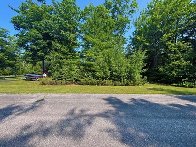Private wooded lot in the Presque Isle Harbor association with - photo 8