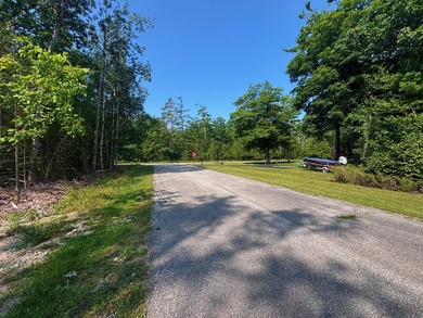 Private wooded lot in the Presque Isle Harbor association with - photo 9