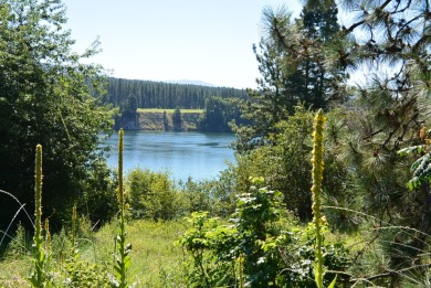 Columbia River - Stevens County Acreage For Sale in Kettle Falls Washington