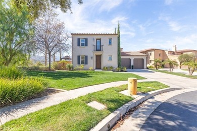 2918 Verdino Cir - photo 13