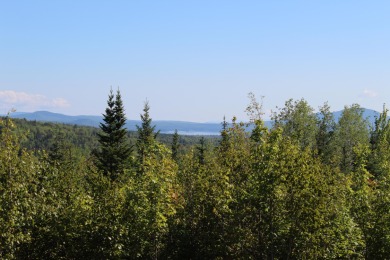 ON A CLEAR DAY YOU CAN SEE FOREVER AND BEYOND! Looking for views - Lake Acreage For Sale in Eustis, Maine