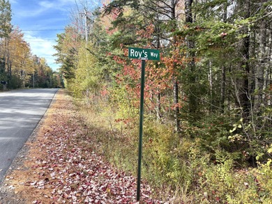 Boyden Lake Acreage For Sale in Perry Maine