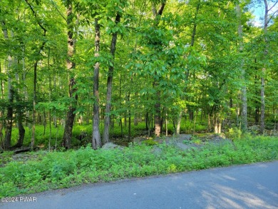 (private lake, pond, creek) Lot For Sale in Dingmans Ferry Pennsylvania