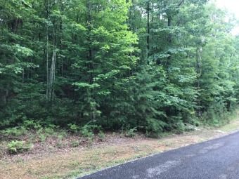 Lake Lot Off Market in Dunlap, Tennessee