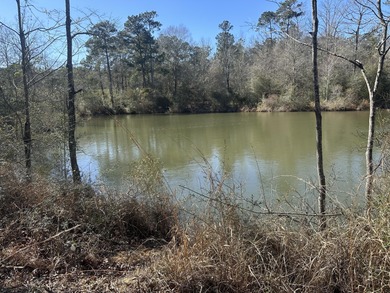 (private lake, pond, coastal) Lot For Sale in Hattiesburg Mississippi