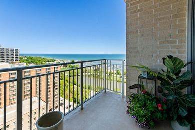 Commanding views of the city and lake from this 17th floor unit - photo 23