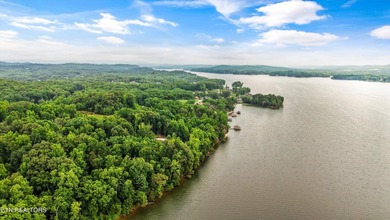 Lakefront home situated on over an acre in a serene wooded - photo 38