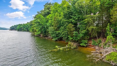 Lakefront home situated on over an acre in a serene wooded - photo 39