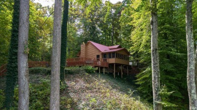 Lake Home For Sale in Spencer, Indiana