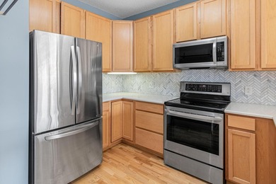 Experience elevated North Loop living in this stunning top-floor - photo 10