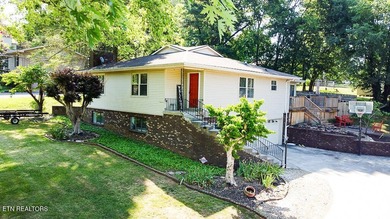 4BR 3 Full baths. 2 full kitchens! Perfect for large family or - photo 1