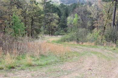 Blue Mountain Lake  Acreage For Sale in Magazine Arkansas