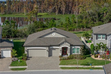 (private lake, pond, creek) Home For Sale in Lutz Florida