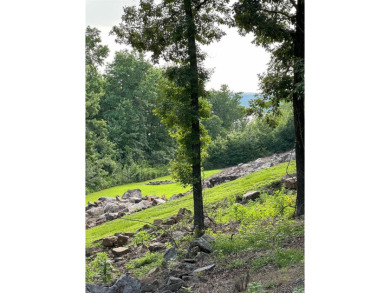 This 2 bdrm/2 bath cozy cottage on the shore of Greers Ferry - photo 33