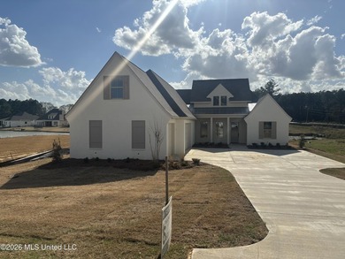 Stunning New Construction Farmhouse on Lake Katherine - Lake - photo 2