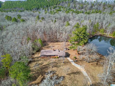 (private lake, pond, coastal) Home Active Under Contract in Alexandria Alabama