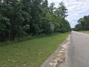 Lake Marion Lot For Sale in Eutawville South Carolina