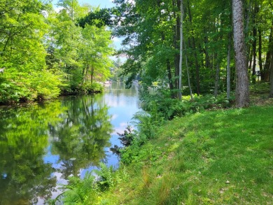 Canadian Lakes Lot For Sale in Mecosta Michigan