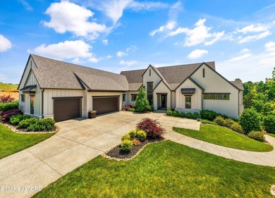 Welcome to 317 Admiral Court in Lenoir City, where modern - photo 1
