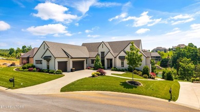 Welcome to 317 Admiral Court in Lenoir City, where modern - photo 2