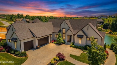Welcome to 317 Admiral Court in Lenoir City, where modern - photo 3
