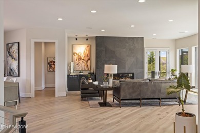 Welcome to 317 Admiral Court in Lenoir City, where modern - photo 5