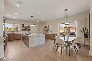 Welcome to 317 Admiral Court in Lenoir City, where modern - photo 10
