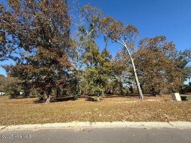 Lake Lot For Sale in Leland, North Carolina