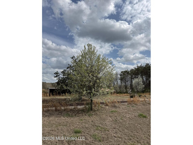 Family farm including 2.2 acres +/- with 3 bedroom 2 1/2 bath - photo 3