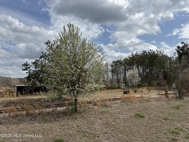 Family farm including 2.2 acres +/- with 3 bedroom 2 1/2 bath - photo 4