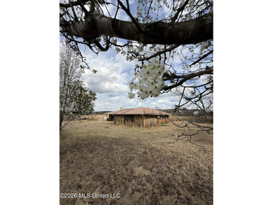 Family farm including 2.2 acres +/- with 3 bedroom 2 1/2 bath - photo 8