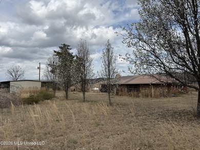 Family farm including 2.2 acres +/- with 3 bedroom 2 1/2 bath - photo 9