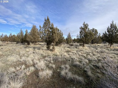 Billy Chinook Lake Lot For Sale in Culver Oregon