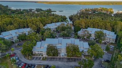 Lake Tarpon Condo Sale Pending in Palm Harbor Florida
