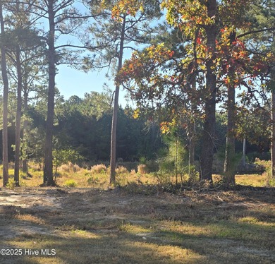(private lake, pond, coastal) Lot For Sale in Sunset Beach North Carolina