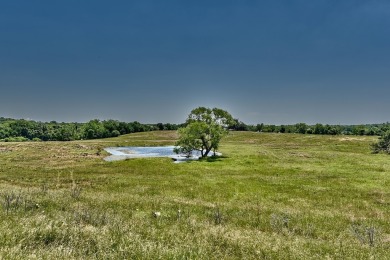 (private lake, pond, creek) Acreage For Sale in La Grange Texas