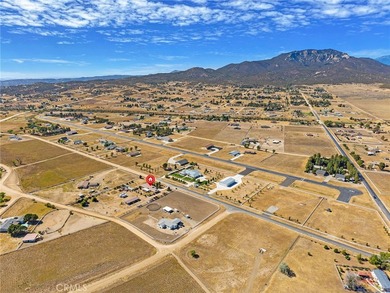 49701 Sky Harbor - photo 5