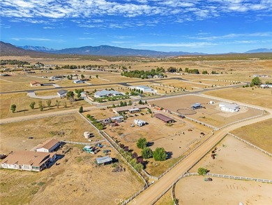 49701 Sky Harbor - photo 10